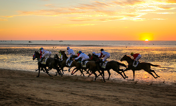 Caballos de Sanlucar