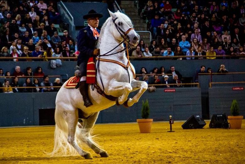 Caballos Jerez